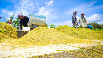 Harga Beras di Jepang Meroket Rp86.156 per Kilogram, Kondisi Indonesia Bagaimana?