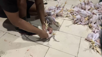 Hati-hati Ada Praktik Penjualan Ayam Gelonggongan di Pasar Kebayoran Lama di Ramadan 2025, Rekaman Ini Buktikan...