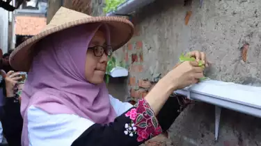Urban Farming Lorong Mekaar, Langkah PNM Wujudkan Asta Cita Ketahanan Pangan