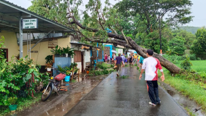 Hujan Lebat Disertai Angin Kencang Sebabkan Pohon Tumbang di Dua Lokasi Kabupaten Malang