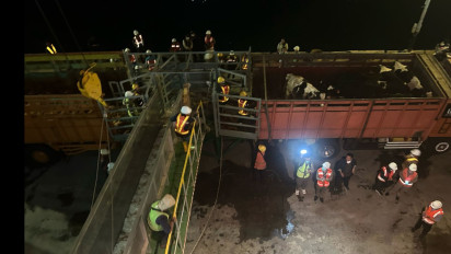 1250 Ekor Sapi Perah dari Australia Tiba di Banyuwangi