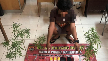 Nekat Tanam Ganja di Belakang Rumah, Warga Sumbawa Barat Diringkus Polisi