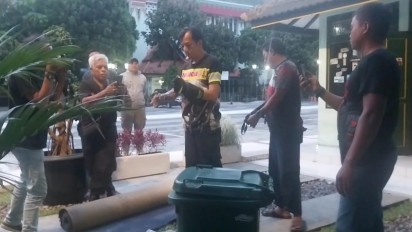 Ular Sowo Kopi Nyelonong Masuk Ruang Pawarta di Balaikota Yogyakarta, Wartawan Panik