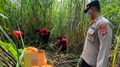 Kerangka Manusia Ditemukan di Ladang Tebu PG Madukismo, Diperkirakan Perempuan Usia di Bawah 25 Tahun