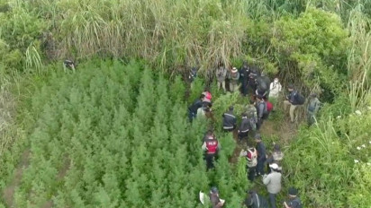 Isu Pengunjung Dilarang Terbangkan Drone dan Harus Bayar Rp2 Juta untuk Tutupi Keberadaan Ladang Ganja di Lereng Gunung Semeru Viral, BBTNBTS Akhirnya Buka Suara, Begini Katanya...