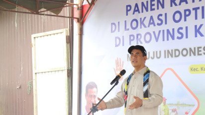 Petani Berteriak, Gabah Dibeli di Bawah HPP! Pimwil BULOG Kalsel Dicopot