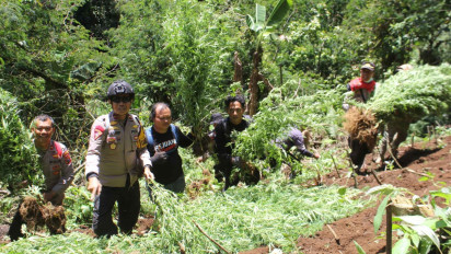 BBTNBTS Sebut Penutupan Pendakian Gunung Semeru Murni untuk Keselamatan, Bukan karena Ganja