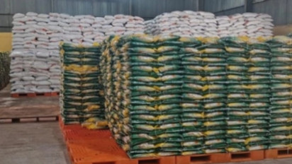 Harga Beras Medium Turun Jadi Rp13.583/Kg, Cabai Rawit Ikut Anjlok