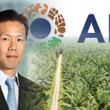 ANJT Serok Pinjaman Jumbo BCA Rp1,6 Triliun dan BRI Rp2 Triliun, Konglomerat Sawit Ciliandra Fangiono juga Dapat Bunga Ringan