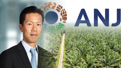 ANJT Serok Pinjaman Jumbo BCA Rp1,6 Triliun dan BRI Rp2 Triliun, Konglomerat Sawit Ciliandra Fangiono juga Dapat Bunga Ringan