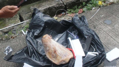 Lisan Prabowo Kecam Aksi Teror Kepala Babi Media Tempo