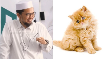 Mulai Sekarang Jangan Keliru Pahami Hadis Larangan Pelihara Kucing di Rumah, Ustaz Adi Hidayat Jelaskan Sebenarnya