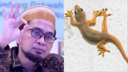 Sering Dianggap Sepele, Ternyata Cicak dalam Rumah Itu Bahaya dalam Islam, Ustaz Adi Hidayat Anjurkan Ini