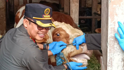 Kepala Karantina Jatim Lakukan Inspeksi Mendadak di Pelabuhan Tanjung Perak Surabaya