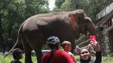 Taman Margasatwa Ragunan