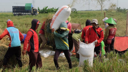 BULOG Cetak Rekor Tertinggi 10 Tahun Terakhir, Penyerapan Gabah Petani Capai 725.000 Ton Setara Beras