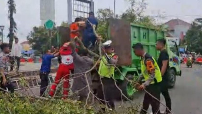 Cerita Detik-detik Pohon Tumbang Jelang Salat Id di Alun-alun Pemalang: Jemaah sedang Siap-siap