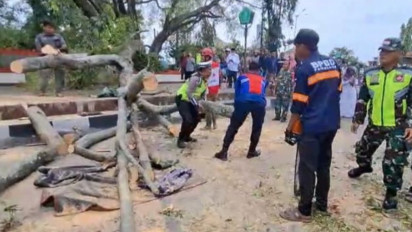 Korban Meninggal Dunia Akibat Pohon Tumbang saat Sholat Idul Fitri di Pemalang Menjadi Tiga Orang