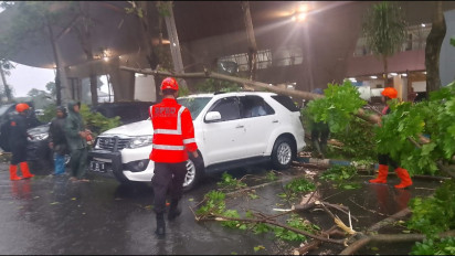 Hujan Deras dan Angin Kencang Akibatkan Pohon Tumbang Timpa Mobil Penumpang di Bandara Juanda 