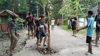 Ratusan Warga Blora Tanam Pohon Pisang di Jalan Rusak, Protes Perbaikan Tak Kunjung Datang