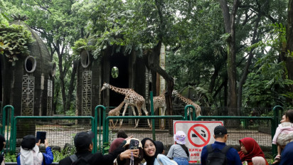 Cerita Warga Pilih Berlibur ke Taman Margasatwa Ragunan: Bisa Menjadi Wisata Edukatif