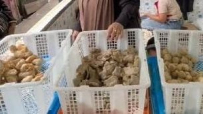Berkah Libur Lebaran, Pengusaha Pempek Palembang Produksi 30 Ribu Dalam Sehari