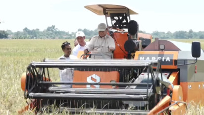 Hadapi Hama Tikus, Prabowo Janji Kirim 1.000 Burung Hantu untuk Petani Majalengka