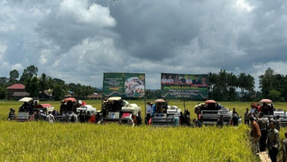 Pemprov Sulsel Panen Raya 123.397 Hektare di 12 Kabupaten