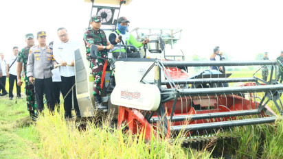 Panen Raya Padi Serentak Nasional, Produksi Padi di Gresik Tembus 194 Ribu Ton