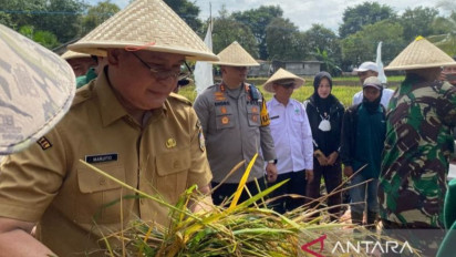 Kuota Pupuk Bersubsidi di Ogan Komering Ulu Capai 5.360 Ton Urea