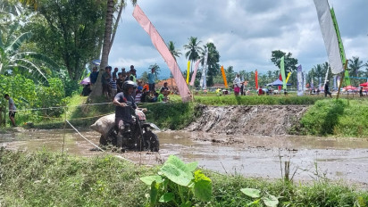 Berhadiah Dua Ekor Kambing, 50 Pemanggul Gabah Adu Skill Balapan Sepeda Motor di Lahan Sawah