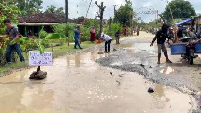 Warga Palas Tabur 40 Kg Ikan Lele di Jalan Rusak, Tuntut Janji Bupati Lampung Selatan