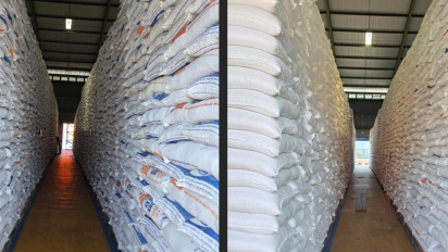 Lembaga Amerika Serikat Akui Lompatan Produksi Beras Indonesia, Thailand Kecewa