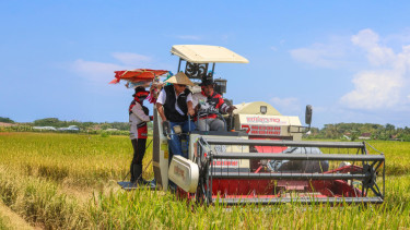 Tembus 1 Juta Ton, Bulog Terus Optimalkan Penyerapan Manfaatkan Momentum Panen Raya