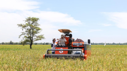 Pengamat: Layak Diapresiasi Publik, Panen Raya Padi 2025 Sangat Tinggi