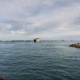 Dampak Pendangkalan Alur, Opsi Buka Pelabuhan Baru di Beberapa Kabupaten Bengkulu