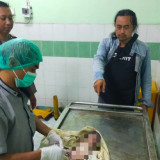 Bayi Meninggal Ditemukan dalam Bak Sampah Pabrik Boneka