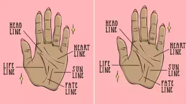 Ilustrasi garis tangan