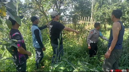 Komplotan Maling Alpukat Tertangkap saat Beraksi