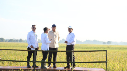 Rahasia Sinergi Kabinet Pemerintahan Presiden Prabowo Subianto untuk Sukseskan Swasembada Pangan