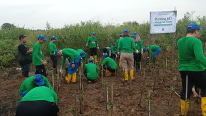 Langkah Nyata Dekarbonisasi dan Cegah Abrasi 661 Mangrove Ditanam di Pantai KSS