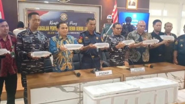 Sebanyak 383.615 Ekor Benih Lobster Diamankan Satgas Gabungan TNI AL Palembang, Rugikan Negara Rp 38 Miliar 