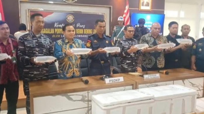 Sebanyak 383.615 Ekor Benih Lobster Diamankan Satgas Gabungan TNI AL Palembang, Rugikan Negara Rp 38 Miliar 