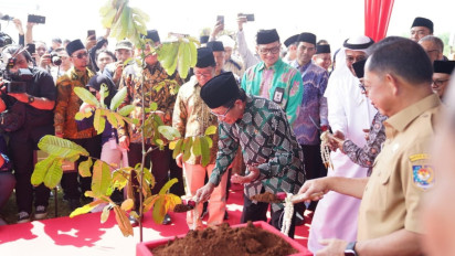 Menteri Agama RI Sebut Pohon Matoa dari Papua Simbol Indonesia yang Beragam
