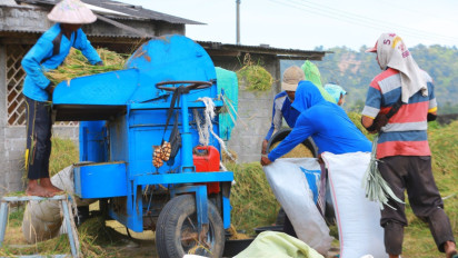 Serapan Bulog Jatim Tembus 300 Ribu Ton Setara Beras, Tertinggi 10 Tahun Terakhir