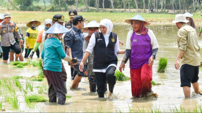 Kontribusi Laju Tanam Padi Jatim Terbesar di Indonesia, Gubernur Khofifah: Wujudkan Kedaulatan Pangan di Jawa Timur