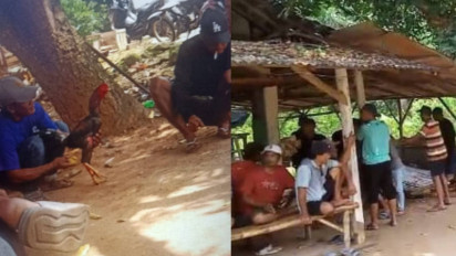 Gerebek Arena Judi Sabung Ayam, Polisi Amankan 17 Warga di Gresik