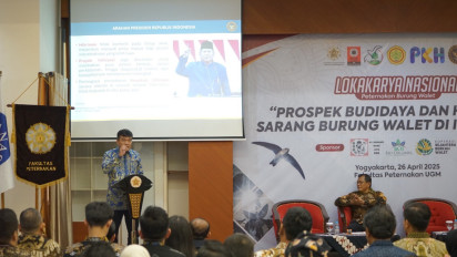 Ekspor Sarang Burung Walet Belum Optimal, Barantin Kawal Strategi Pemenuhan Standar Regulasi untuk Hilirisasi