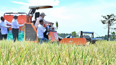 Eksponen 98 Sebut Prabowo Sukses Bangun Kemandirian Pangan, Produksi Beras Melimpah di Tengah Guncangan Geopolitik
