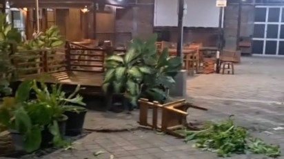 Puluhan Pemuda Beratribut Sepak Bola, Serang Kafe ANT di Kota Probolinggo